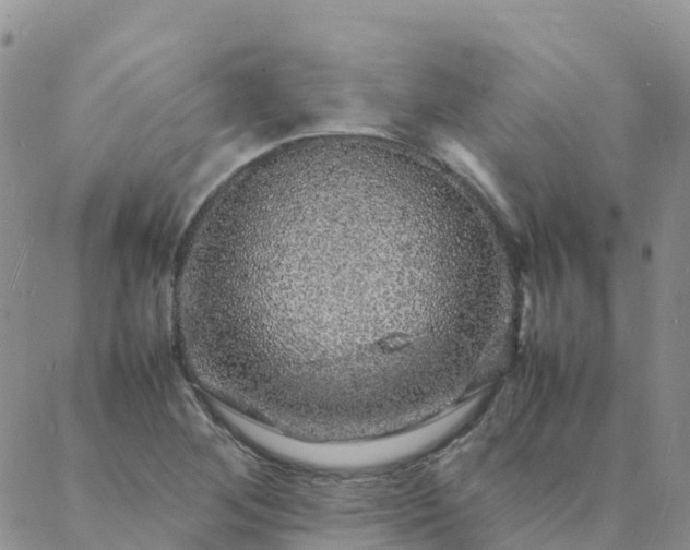 X0000088031268200705182016