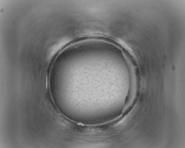 X0000088031269200705182016