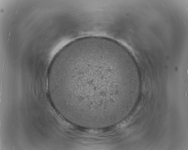 X0000088031271200705182016