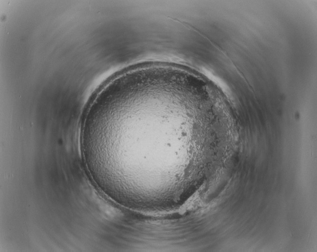 X0000088031272200705182016