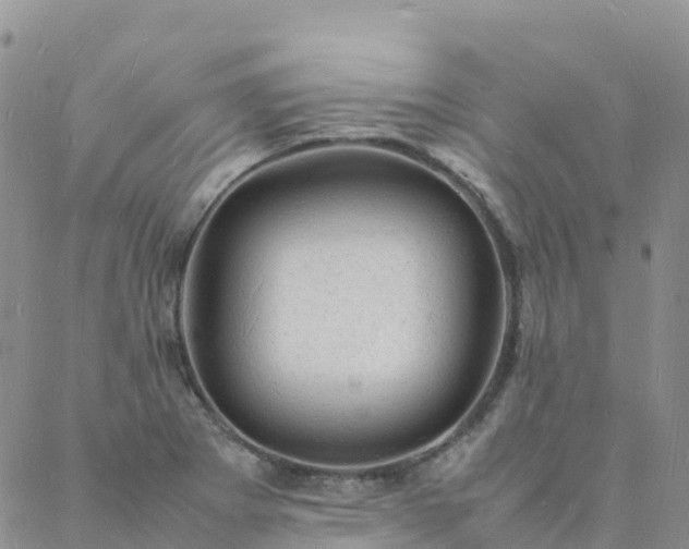 X0000088031273200705182016