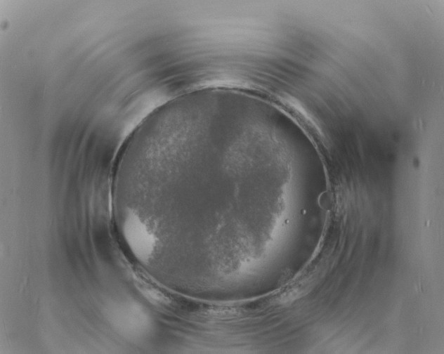 X0000088031274200705182016