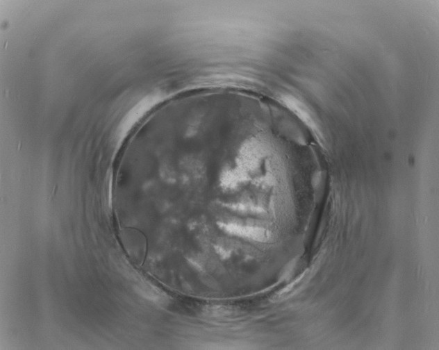 X0000088031275200705182016