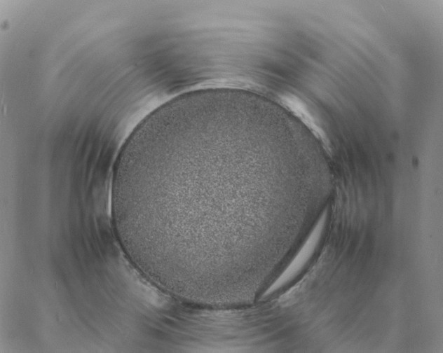 X0000088031276200705182016