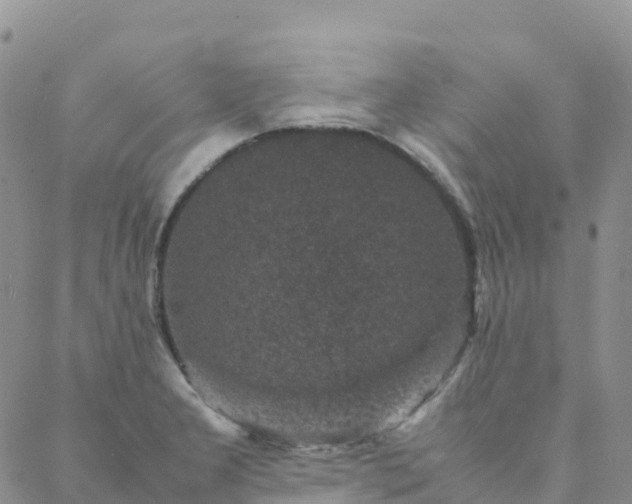 X0000088031277200705182016