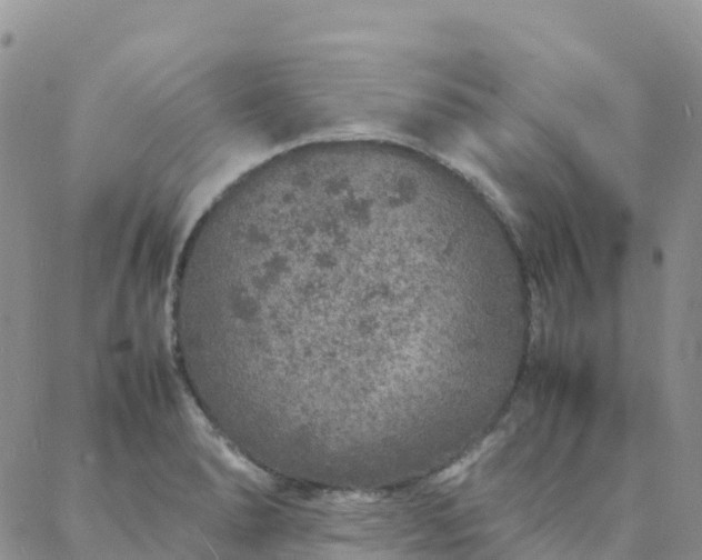 X0000088031278200705182016