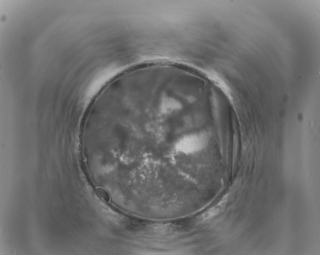 X0000088031279200705182016