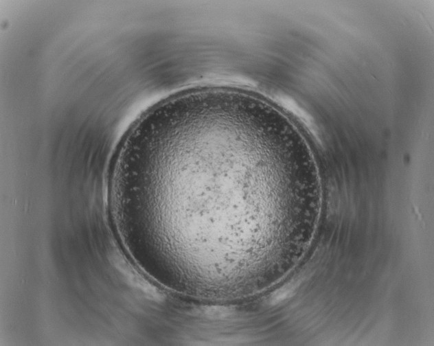 X0000088031280200705182016