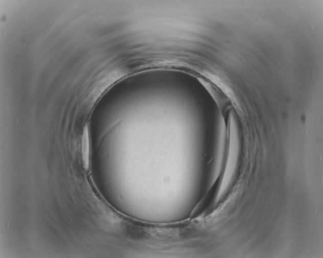 X0000088031281200705182016