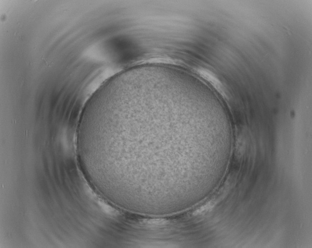 X0000088031282200705182016