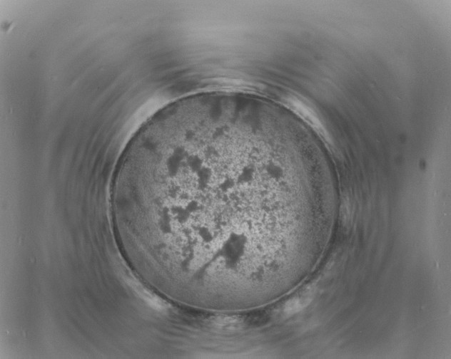 X0000088031283200705182016