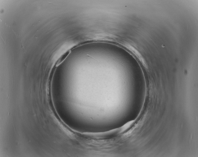 X0000088031285200705182016