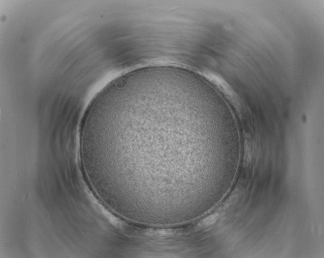 X0000088031286200705182016