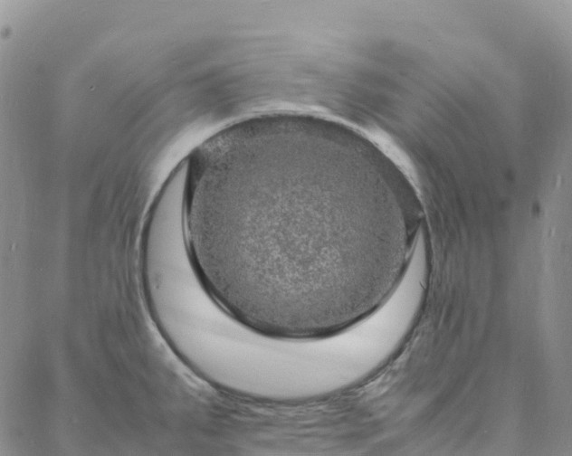 X0000088031287200705182016