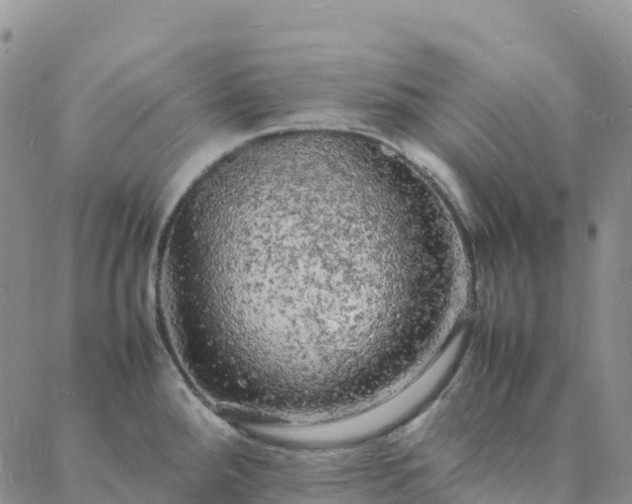 X0000088031288200705182016