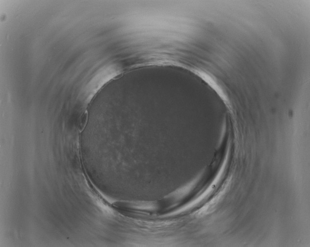 X0000088031289200705182016