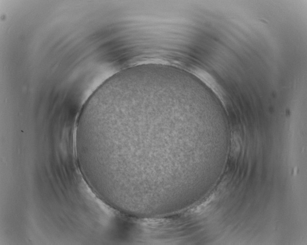 X0000088031290200705182016