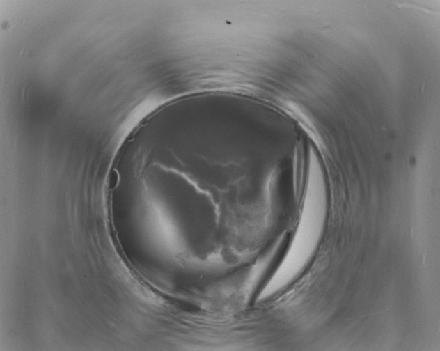 X0000088031291200705182016