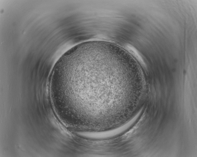 X0000088031292200705182016