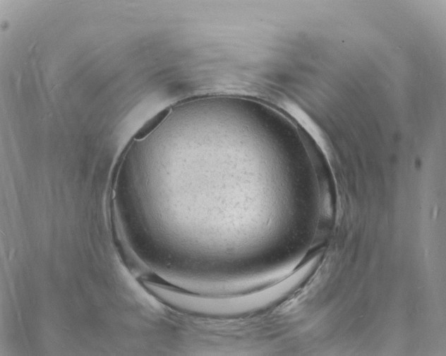 X0000088031293200705182016