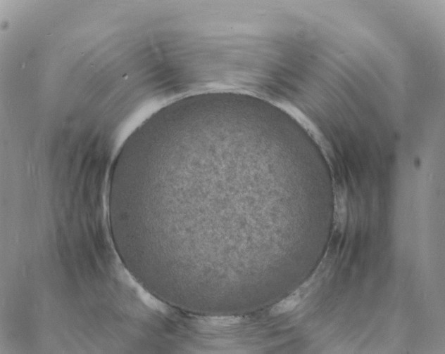 X0000088031294200705182016