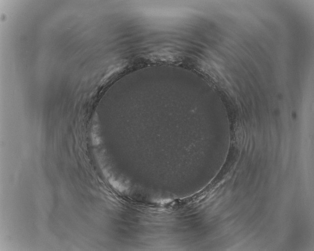 X0000088031297200705182015