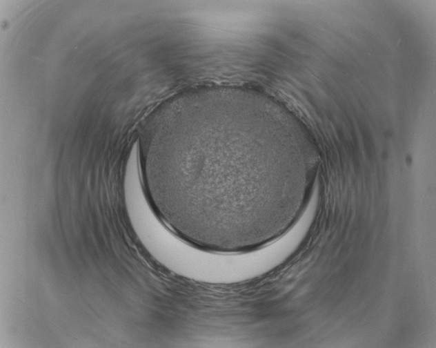 X0000088031298200705182015