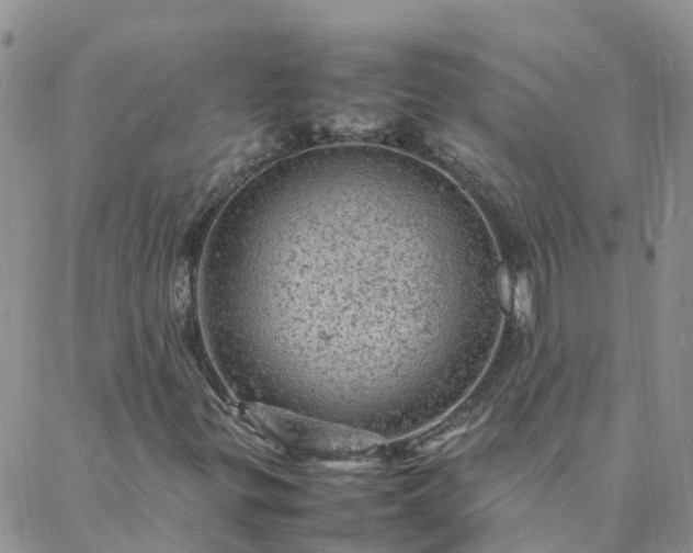 X0000088031299200705182015