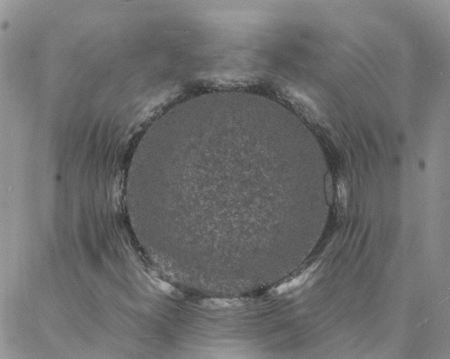 X0000088031300200705182015