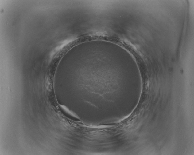 X0000088031303200705182015