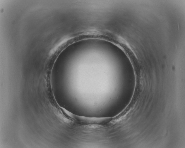 X0000088031304200705182015