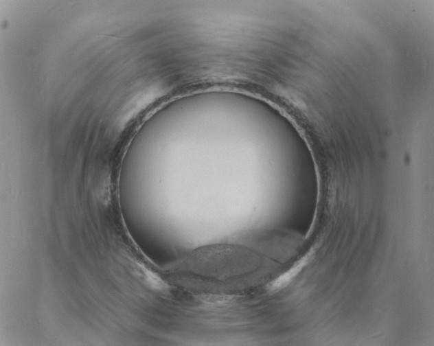 X0000088031306200705182015