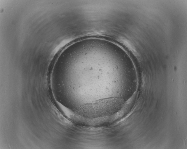 X0000088031308200705182015