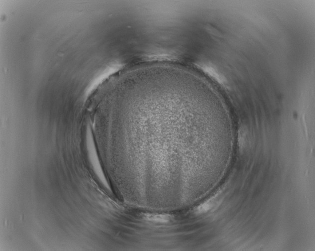 X0000088031309200705182015