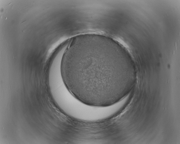 X0000088031310200705182015