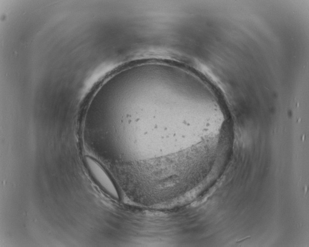 X0000088031312200705182015