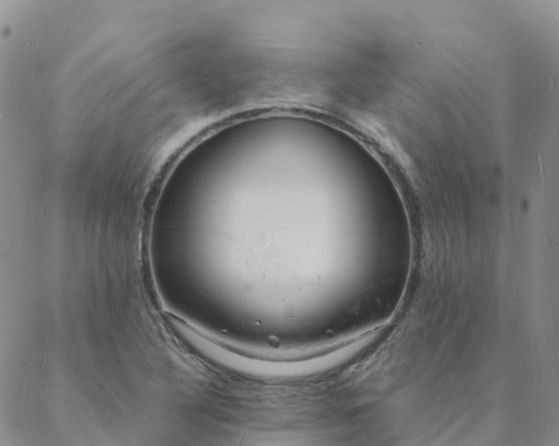 X0000088031316200705182015