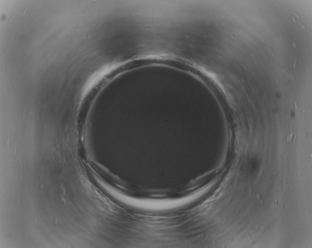 X0000088031319200705182015