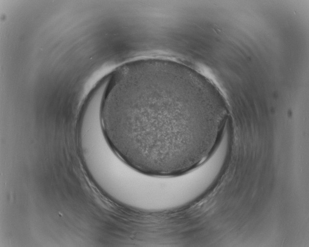 X0000088031320200705182015