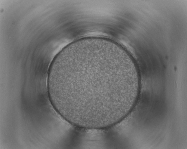 X0000088031322200705182015