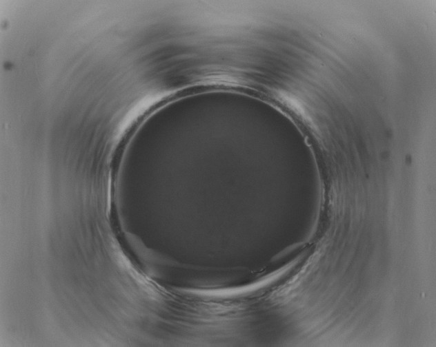 X0000088031323200705182016