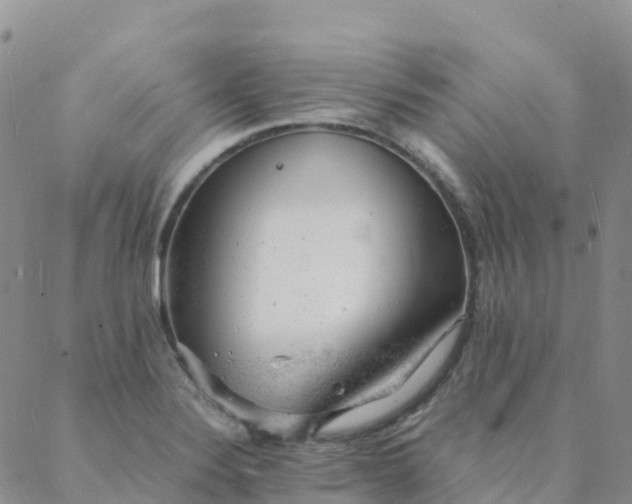 X0000088031324200705182016