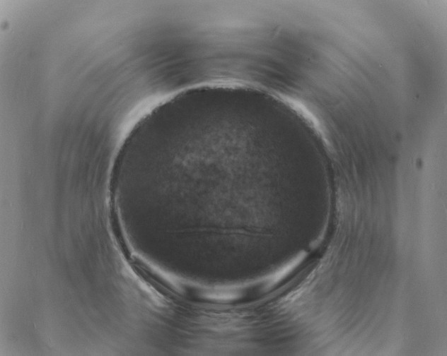 X0000088031327200705182016