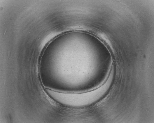 X0000088031328200705182016