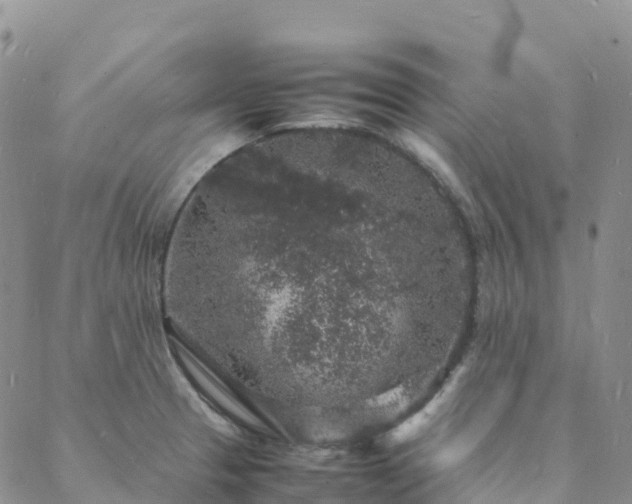 X0000088031329200705182016