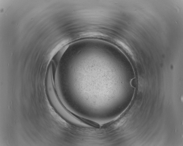 X0000088031330200705182016