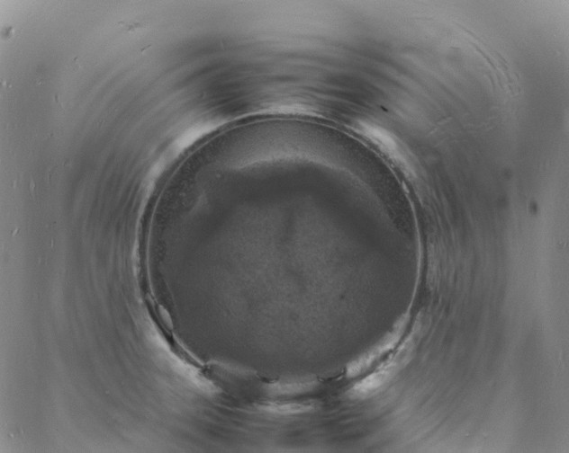 X0000088031331200705182016