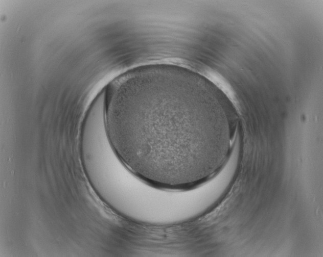 X0000088031332200705182016