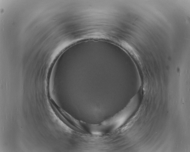 X0000088031334200705182016