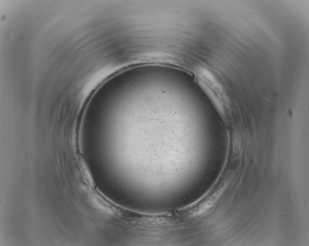 X0000088031336200705182016